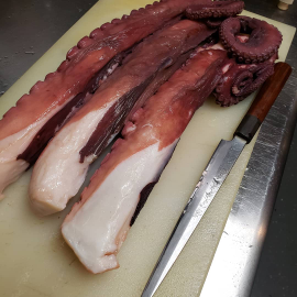 北海タコ