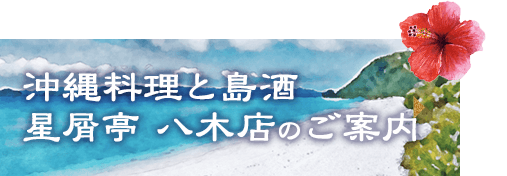 沖縄料理と島酒 星屑亭のご案内