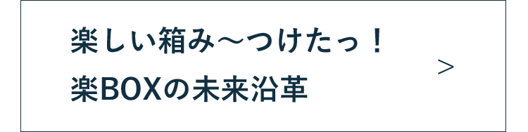 楽BOXの未来沿革