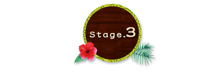 Stage.3