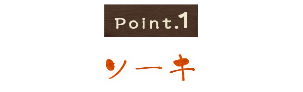 Point1ソーキ