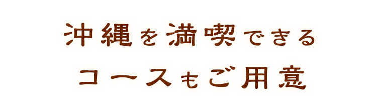 沖縄を満喫できるコースもご用意